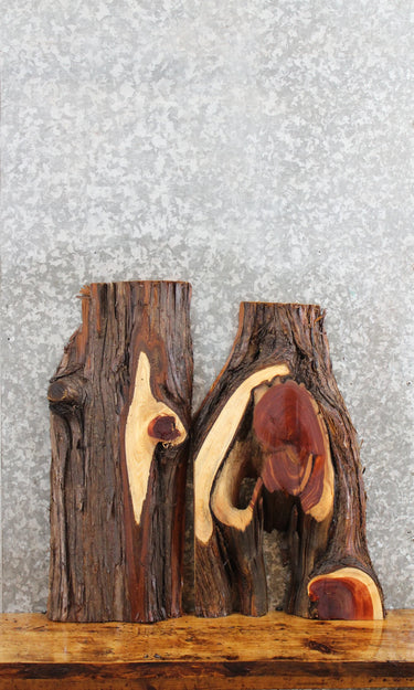 2- Natural Edge Cedar Charcuterie/Taxidermy Slabs 5316-5317